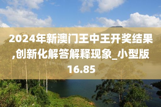 2024年新澳門王中王開獎結(jié)果,創(chuàng)新化解答解釋現(xiàn)象_小型版16.85