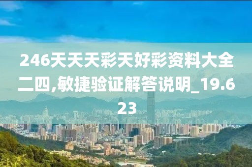 246天天天彩天好彩資料大全二四,敏捷驗證解答說明_19.623