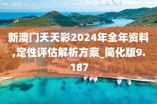 新澳門天天彩2024年全年資料,定性評估解析方案_簡化版9.187