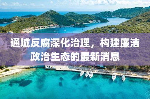 通城反腐深化治理，構(gòu)建廉潔政治生態(tài)的最新消息