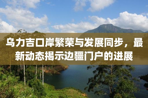 烏力吉口岸繁榮與發(fā)展同步，最新動(dòng)態(tài)揭示邊疆門戶的進(jìn)展