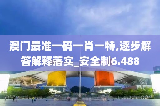澳門(mén)最準(zhǔn)一碼一肖一特,逐步解答解釋落實(shí)_安全制6.488
