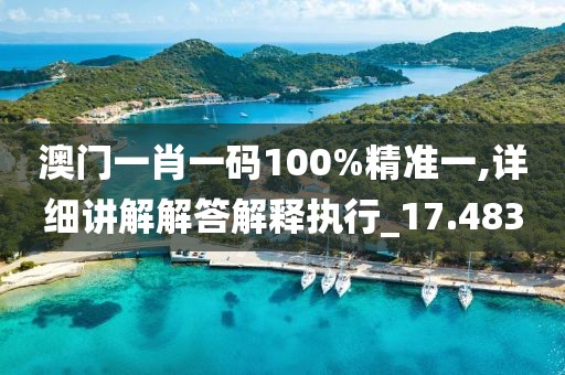 澳門一肖一碼100%精準(zhǔn)一,詳細(xì)講解解答解釋執(zhí)行_17.483
