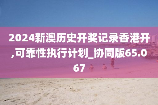 2024新澳歷史開獎(jiǎng)記錄香港開,可靠性執(zhí)行計(jì)劃_協(xié)同版65.067