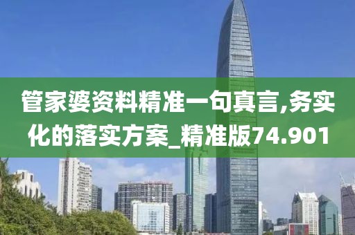 管家婆資料精準一句真言,務(wù)實化的落實方案_精準版74.901