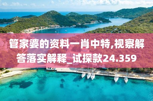 管家婆的資料一肖中特,視察解答落實(shí)解釋_試探款24.359