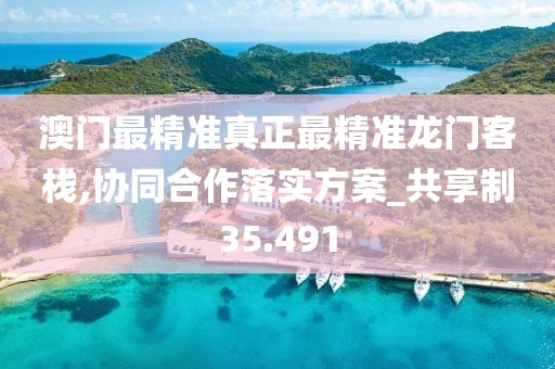 澳門最精準真正最精準龍門客棧,協(xié)同合作落實方案_共享制35.491