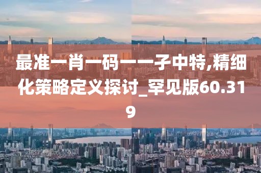 最準(zhǔn)一肖一碼一一孑中特,精細(xì)化策略定義探討_罕見版60.319