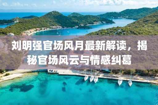 劉明強(qiáng)官場(chǎng)風(fēng)月最新解讀，揭秘官場(chǎng)風(fēng)云與情感糾葛