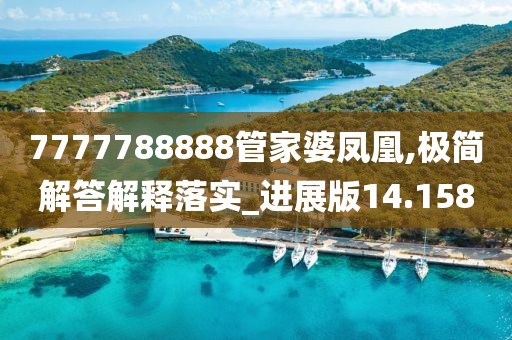 7777788888管家婆鳳凰,極簡解答解釋落實_進(jìn)展版14.158