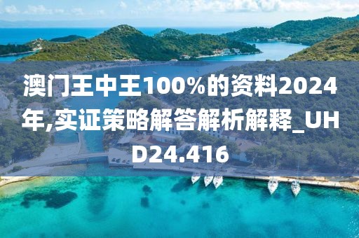 澳門王中王100%的資料2024年,實證策略解答解析解釋_UHD24.416