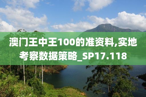 澳門王中王100的準(zhǔn)資料,實(shí)地考察數(shù)據(jù)策略_SP17.118