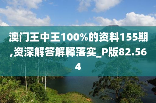 澳門王中王100%的資料155期,資深解答解釋落實(shí)_P版82.564