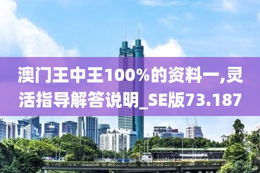 澳門王中王100%的資料一,靈活指導(dǎo)解答說明_SE版73.187