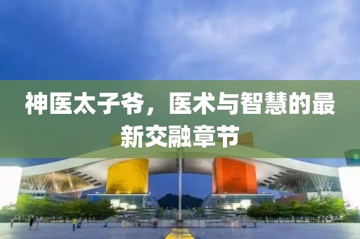 神醫(yī)太子爺，醫(yī)術(shù)與智慧的最新交融章節(jié)