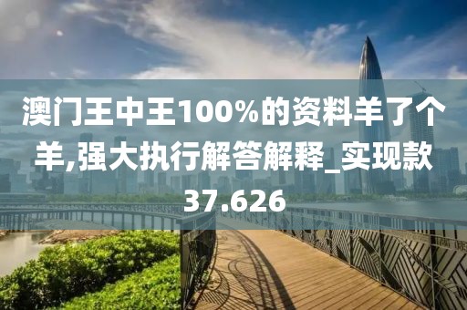 澳門王中王100%的資料羊了個羊,強(qiáng)大執(zhí)行解答解釋_實現(xiàn)款37.626