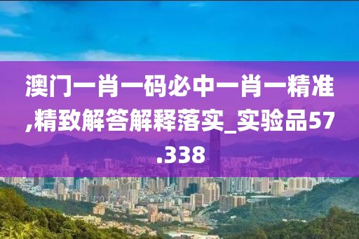 澳門一肖一碼必中一肖一精準,精致解答解釋落實_實驗品57.338