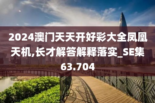2024澳門天天開好彩大全鳳凰天機(jī),長才解答解釋落實(shí)_SE集63.704
