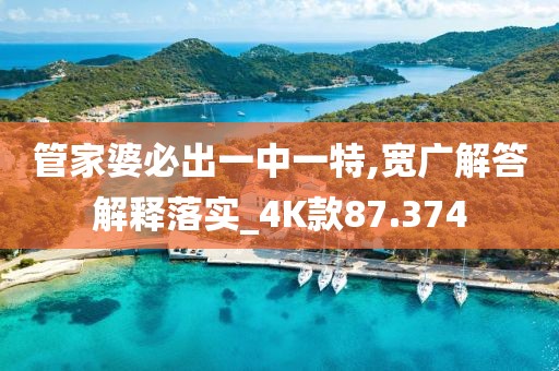 管家婆必出一中一特,寬廣解答解釋落實(shí)_4K款87.374