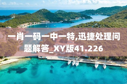 一肖一碼一中一特,迅捷處理問(wèn)題解答_XY版41.226