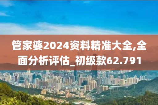 管家婆2024資料精準大全,全面分析評估_初級款62.791