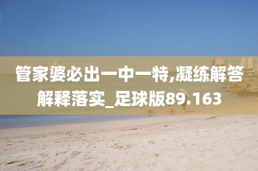 管家婆必出一中一特,凝練解答解釋落實(shí)_足球版89.163