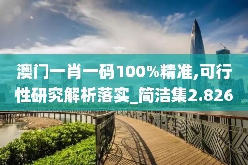 澳門一肖一碼100%精準(zhǔn),可行性研究解析落實_簡潔集2.826