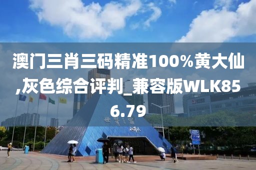 澳門三肖三碼精準100%黃大仙,灰色綜合評判_兼容版WLK856.79