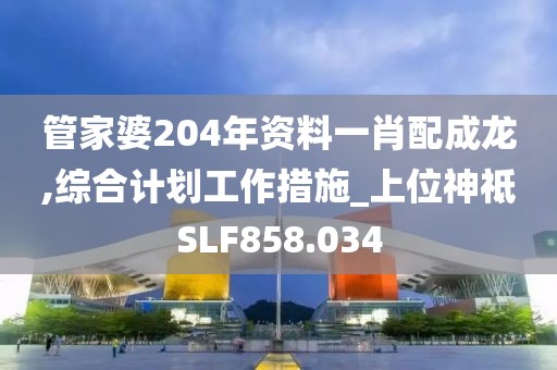 管家婆204年資料一肖配成龍,綜合計(jì)劃工作措施_上位神祗SLF858.034