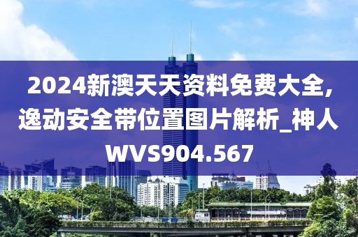 2024新澳天天資料免費(fèi)大全,逸動安全帶位置圖片解析_神人WVS904.567