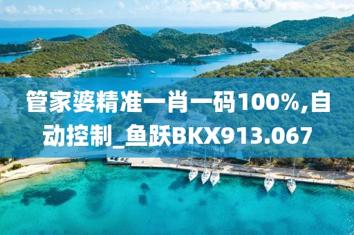 管家婆精準(zhǔn)一肖一碼100%,自動(dòng)控制_魚(yú)躍BKX913.067