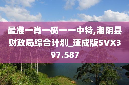 最準(zhǔn)一肖一碼一一中特,湘陰縣財(cái)政局綜合計(jì)劃_速成版SVX397.587
