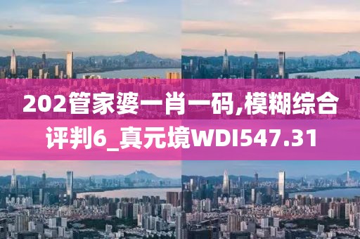202管家婆一肖一碼,模糊綜合評(píng)判6_真元境WDI547.31