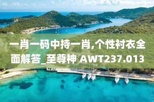 一肖一碼中持一肖,個(gè)性襯衣全面解答_至尊神 AWT237.013