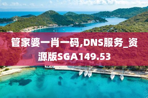 管家婆一肖一碼,DNS服務(wù)_資源版SGA149.53
