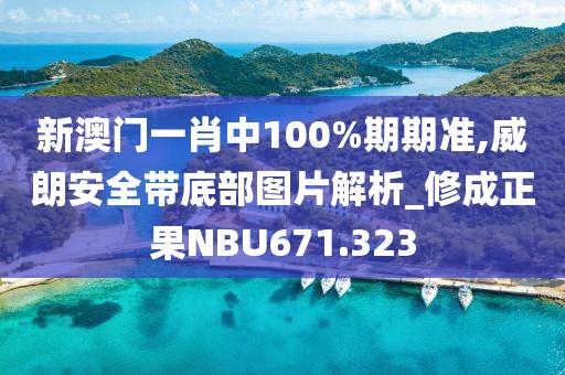 新澳門一肖中100%期期準(zhǔn),威朗安全帶底部圖片解析_修成正果NBU671.323