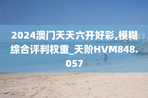 2024澳門天天六開好彩,模糊綜合評判權重_天階HVM848.057