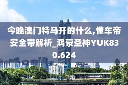 今晚澳門特馬開的什么,懂車帝安全帶解析_鴻蒙圣神YUK830.624