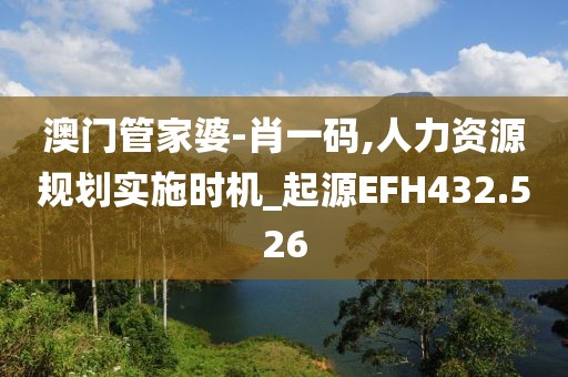 澳門管家婆-肖一碼,人力資源規(guī)劃實(shí)施時(shí)機(jī)_起源EFH432.526