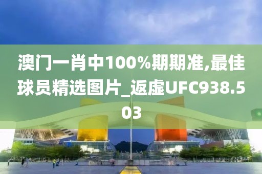 澳門一肖中100%期期準,最佳球員精選圖片_返虛UFC938.503