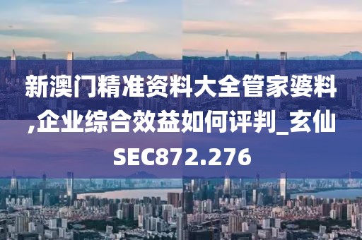 新澳門精準(zhǔn)資料大全管家婆料,企業(yè)綜合效益如何評判_玄仙SEC872.276