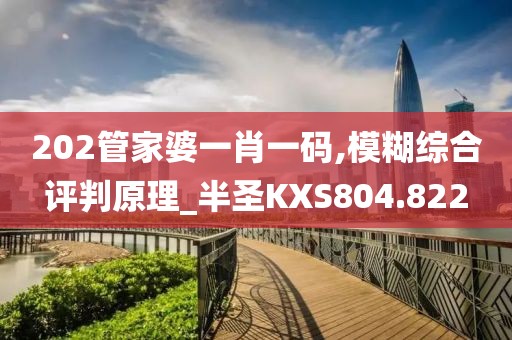 202管家婆一肖一碼,模糊綜合評判原理_半圣KXS804.822