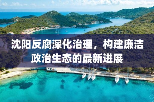 沈陽反腐深化治理，構(gòu)建廉潔政治生態(tài)的最新進展