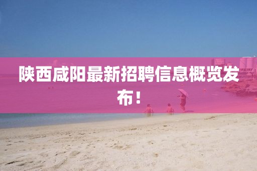 陜西咸陽最新招聘信息概覽發(fā)布！