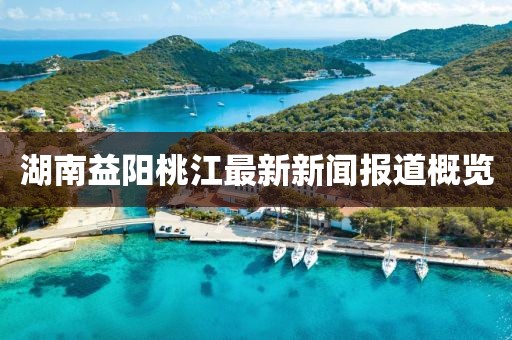 湖南益陽桃江最新新聞報道概覽