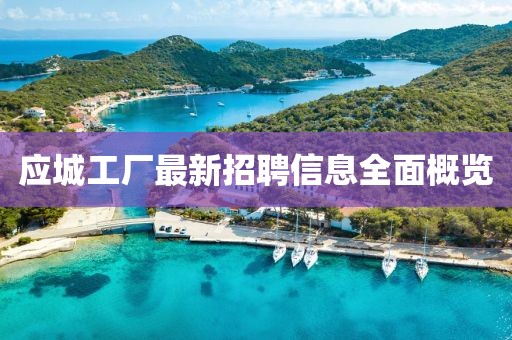 應(yīng)城工廠最新招聘信息全面概覽