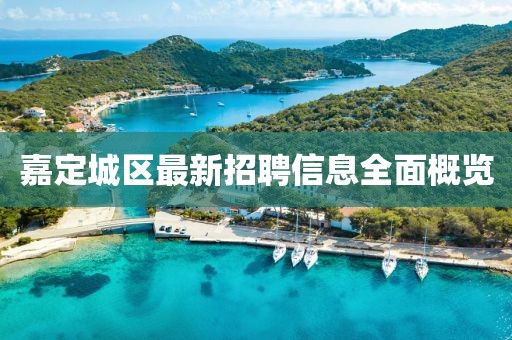 嘉定城區(qū)最新招聘信息全面概覽