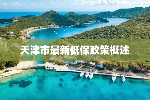 天津市最新低保政策概述