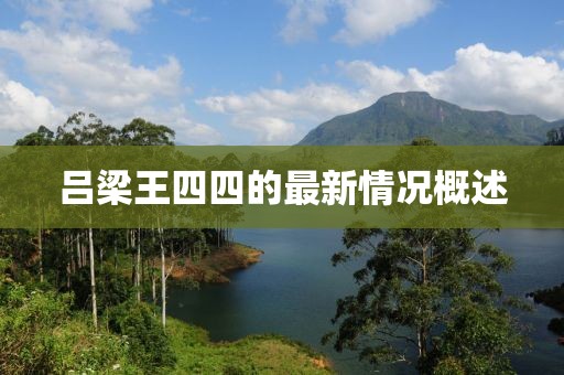 呂梁王四四的最新情況概述