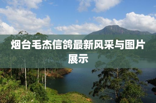 2024年11月 第194頁